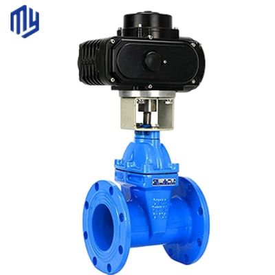 Valvola di apertura dell'acqua PN16 standard DIN con cuneo di gomma e corpo in ferro flessibile GGG50