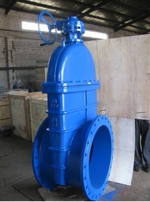 Valvola di porta a tronco non sollevante con design non sollevante