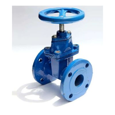 SS Materiale del corpo Pn16 DN50 DN600 Valvole di porta a cuneo in ferro fuso a flange per prodotti