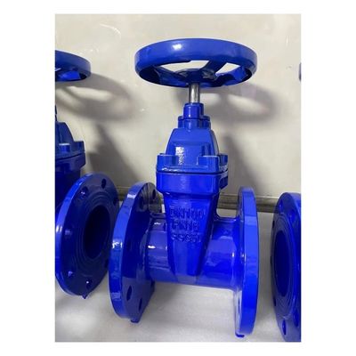 SS Materiale del corpo Pn16 DN50 DN600 Valvole di porta a cuneo in ferro fuso a flange per prodotti