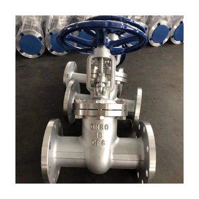 Valvola di porta in acciaio inossidabile industriale con design e flange a foratura completa personalizzati