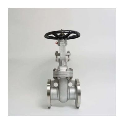 Valvola di porta in acciaio inossidabile industriale con design e flange a foratura completa personalizzati