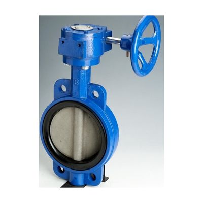 OEM Operatore di wormgear in ghisa a doppia flangia EPDM/NBR Sedile di acciaio inossidabile disco Lug Wafer Valvola farfalla