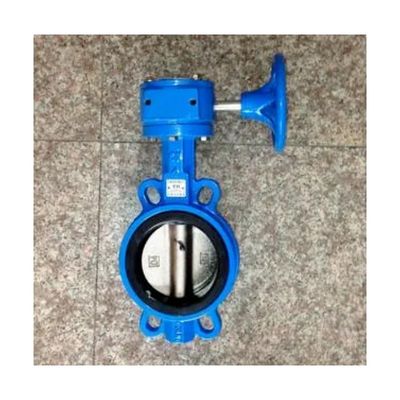 OEM Operatore di wormgear in ghisa a doppia flangia EPDM/NBR Sedile di acciaio inossidabile disco Lug Wafer Valvola farfalla
