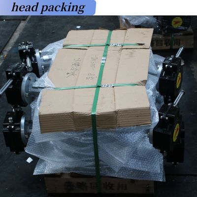 OEM Operatore di wormgear in ghisa a doppia flangia EPDM/NBR Sedile di acciaio inossidabile disco Lug Wafer Valvola farfalla