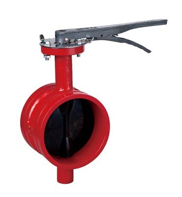 OEM Port Size Ductile Iron Rubber Lined Grooved Butterfly Valve per sistema antincendio