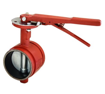 PN16 PN20 Valvola a farfalla a scanalatura in ferro flessibile con OEM