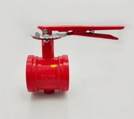 PN16 PN20 Valvola a farfalla a scanalatura in ferro flessibile con OEM