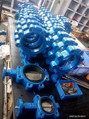DN350 PN16 Valvola farfalla EPDM Dutile Ferro Wafer Flanged Lug Acqua per sistema idrico