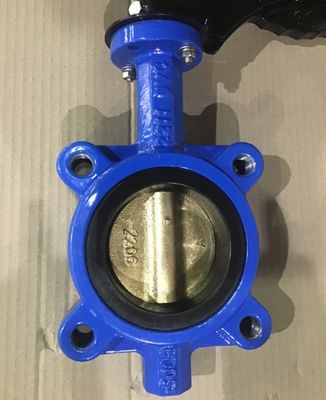Valvola a farfalla personalizzabile DN600 DI CI Corpo SS Disco Lug