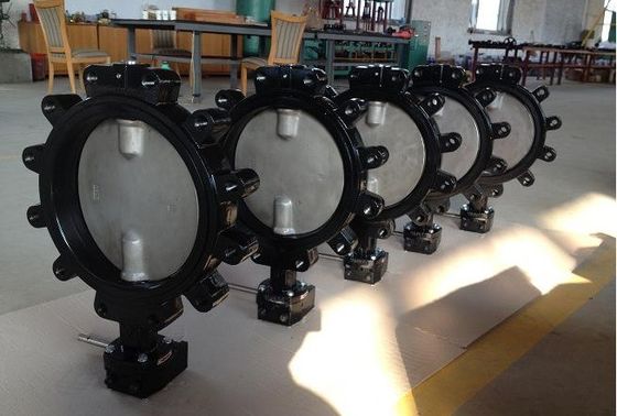 Valvola a farfalla personalizzabile DN600 DI CI Corpo SS Disco Lug