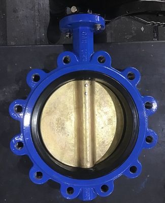 Valvola a farfalla concentrica per standard