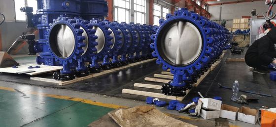 DN300 Customized Ductile Cast Iron Carbon Steel Fully Lug Wafer Tipo Valvola farfalla