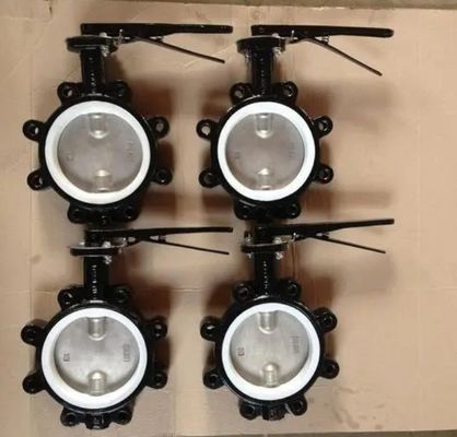 OEM supportato PN10/16 Tipo di valvola di farfalla con servizio personalizzato