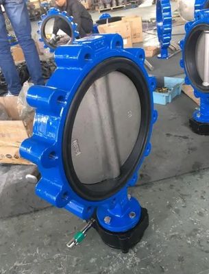 OEM supportato PN10/16 Tipo di valvola di farfalla con servizio personalizzato