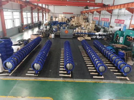 Acqua Medi Sanitario Acciaio inossidabile CF8 WCB Ferro flessibile con valvola a farfalla