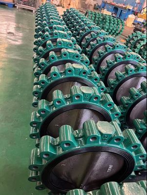 Materiale del corpo Ferro duttile GGG50 Valvola farfalla Wafer Flanged Lug Standard acqua