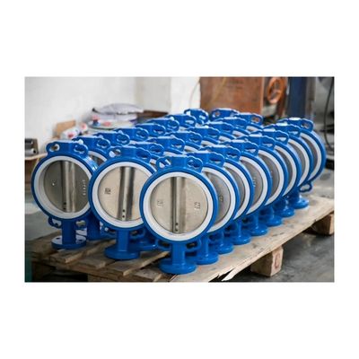 Valvole a farfalla con rivestimento in gomma PFA PTFE EPDM