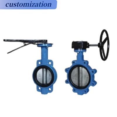 Struttura del diaframma CF8 Di Ci EPDM PTFE idraulica