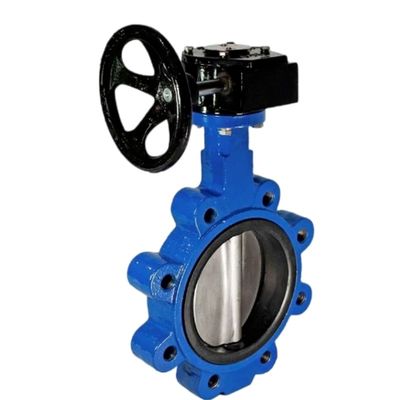 Valvola a farfalla Pn16 Dn50 di ferro fuso flessibile con supporto OBM