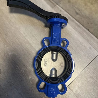 1 pollice sanitario in acciaio inossidabile Pneumatic Valve farfalla con struttura personalizzata