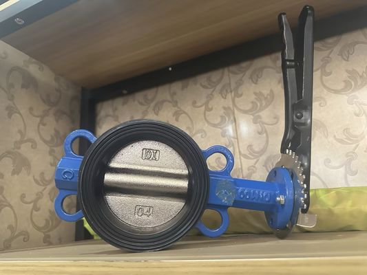 1 pollice sanitario in acciaio inossidabile Pneumatic Valve farfalla con struttura personalizzata