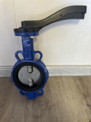 Valvola a farfalla in acciaio inossidabile per FMC Lug Type personalizzata e supportata dal supporto OEM