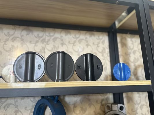 Valvola a farfalla in acciaio inossidabile per FMC Lug Type personalizzata e supportata dal supporto OEM