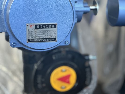 Servizio personalizzato SS304 in acciaio inossidabile Valvola sanitaria farfalla con leva manuale