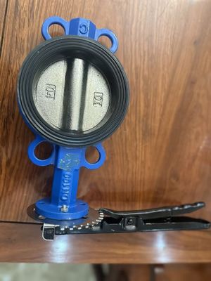 18 pollici Butterfly Valve Wafer Tipo Dual Plate Controllo con servizio personalizzato e supporto