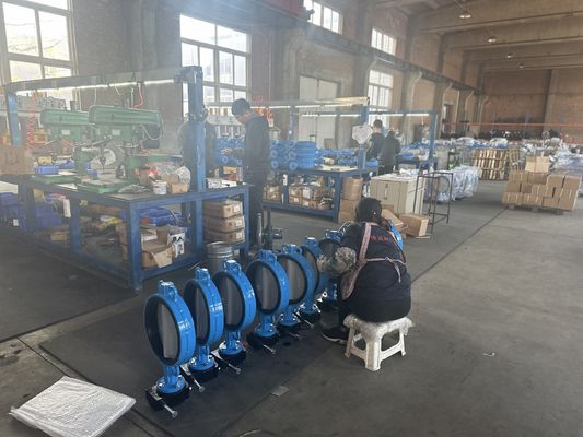 Servizio personalizzato Valvola a farfalla pneumatica inossidabile DN25 per un funzionamento regolare