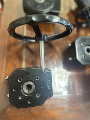 Valvola a farfalla rivestita in PTFE da 200 mm per il funzionamento manuale in applicazioni industriali