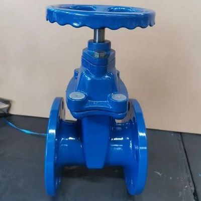 Valvola di porta WCB a bassa temperatura con prestazioni standard GB DIN ANSI GOST