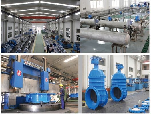 Applicazioni industriali Valvola di cancello a sigillo rigido in ferro duttile con design personalizzato
