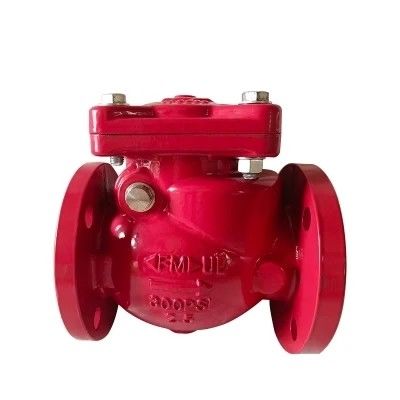 Supporto personalizzato Valvola di controllo oscillante a gas non ritornante DN 600 per supporto a gas e OEM