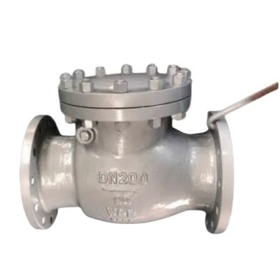 Supporto ODM Multi Single Disc Door Flanged Swing Type Check Valve Drain Valve Certificato CE