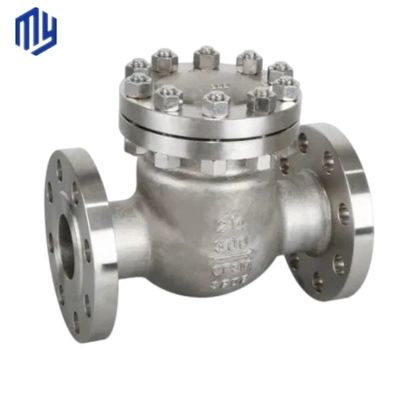 Supporto ODM Multi Single Disc Door Flanged Swing Type Check Valve Drain Valve Certificato CE
