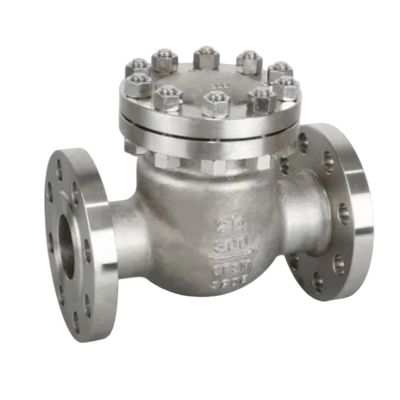 Servizio personalizzato Multi Single Disc Door Flanged Swing Tipo Valvola di controllo Valvola di scarico