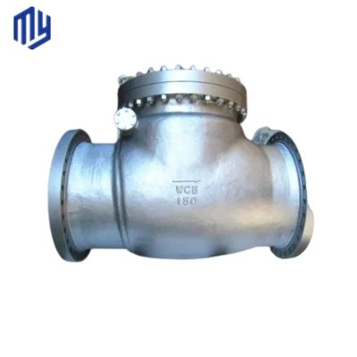 Servizio personalizzato Multi Single Disc Door Flanged Swing Tipo Valvola di controllo Valvola di scarico