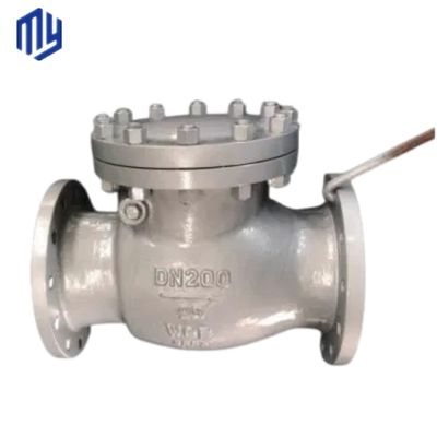 Servizio personalizzato Multi Single Disc Door Flanged Swing Tipo Valvola di controllo Valvola di scarico
