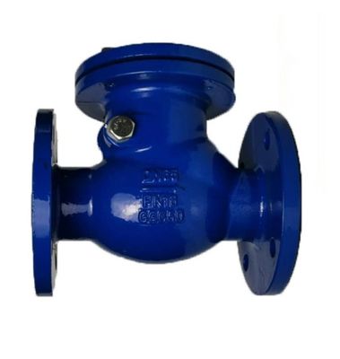 Valvola di controllo oscillante a doppia flangia in ghisa ggg50 DI per struttura di tipo Y ANSI Standard