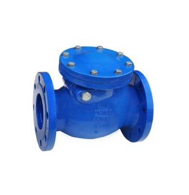 Tipo Y DN200 Valvola di controllo PN16 per supporto di personalizzazione OBM personalizzato