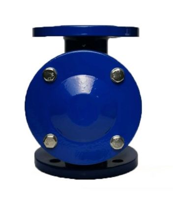 Dimensione del porto personalizzata ASME API ANSI Flange Bolted Bonnet 316 Swing Check Valve in acciaio inox