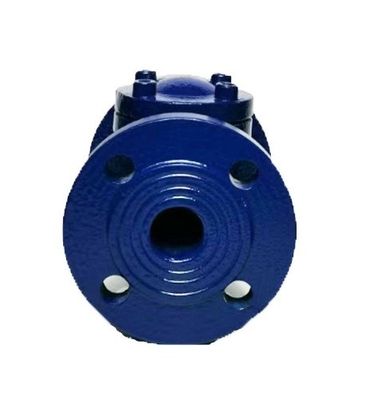 Dimensione del porto personalizzata ASME API ANSI Flange Bolted Bonnet 316 Swing Check Valve in acciaio inox