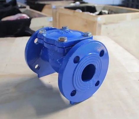 Valvola di controllo della piastra di gomma per acqua per prestazioni affidabili e costanti