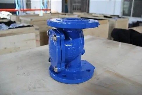 Valvola di controllo della piastra di gomma per acqua per prestazioni affidabili e costanti