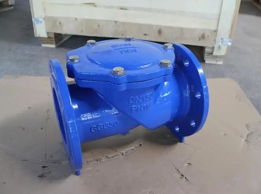 Servizio post-vendita di supporto Dutile Ferro Flange Rubber Flap Check Valve DN50-DN600