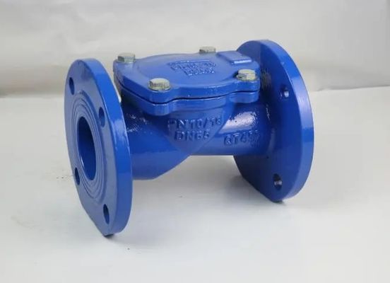 Servizio post-vendita di supporto Dutile Ferro Flange Rubber Flap Check Valve DN50-DN600