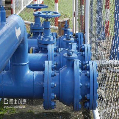Valvola di controllo in acciaio inossidabile resistente alla temperatura H44W-16P CF8M per il collegamento a flange