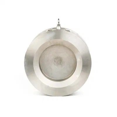 DN 50 Wafer Lift Single Plate Swing Check Valve Flange in acciaio inossidabile Pn25